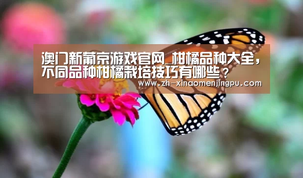 澳门新葡京游戏官网_柑橘品种大全,不同品种柑橘栽培技巧有哪些?(图1) 澳门新葡京游戏官网