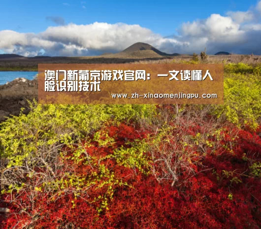 澳门新葡京游戏官网
