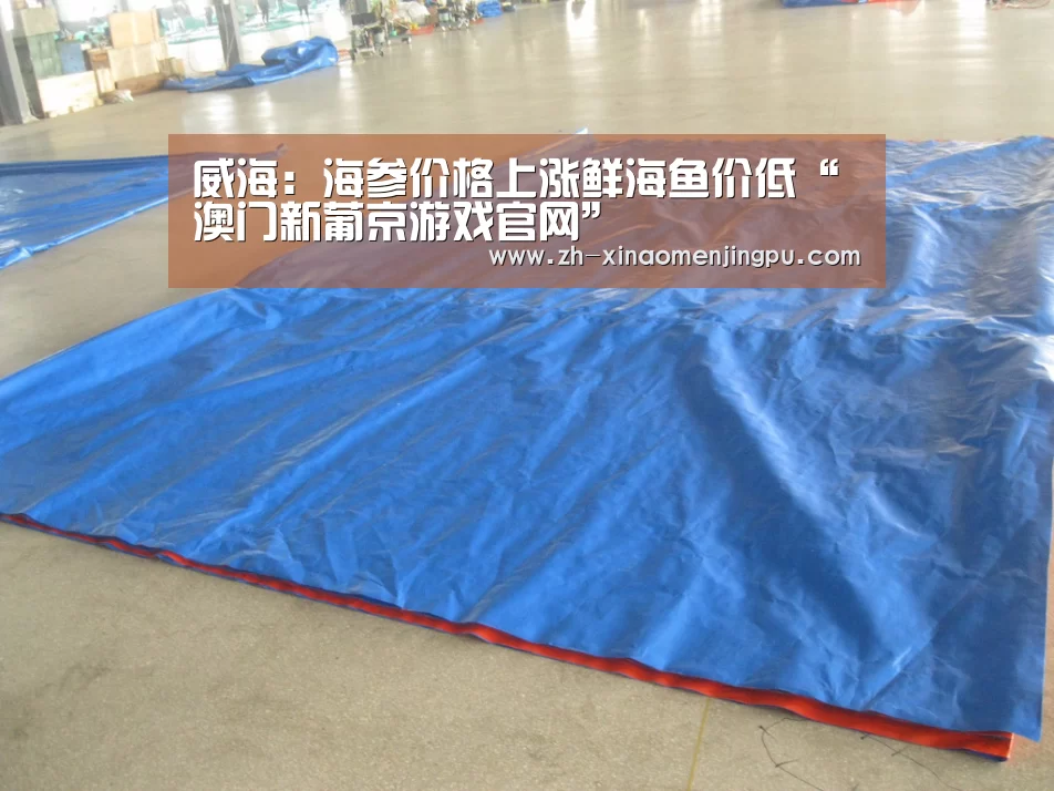 威海:海参价格上涨鲜海鱼价低“澳门新葡京游戏官网”(图1) 澳门新葡京游戏官网
