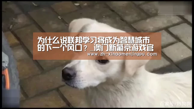 为什么说联邦学习将成为智慧城市的下一个风口?_澳门新葡京游戏官网(图2) 澳门新葡京游戏官网