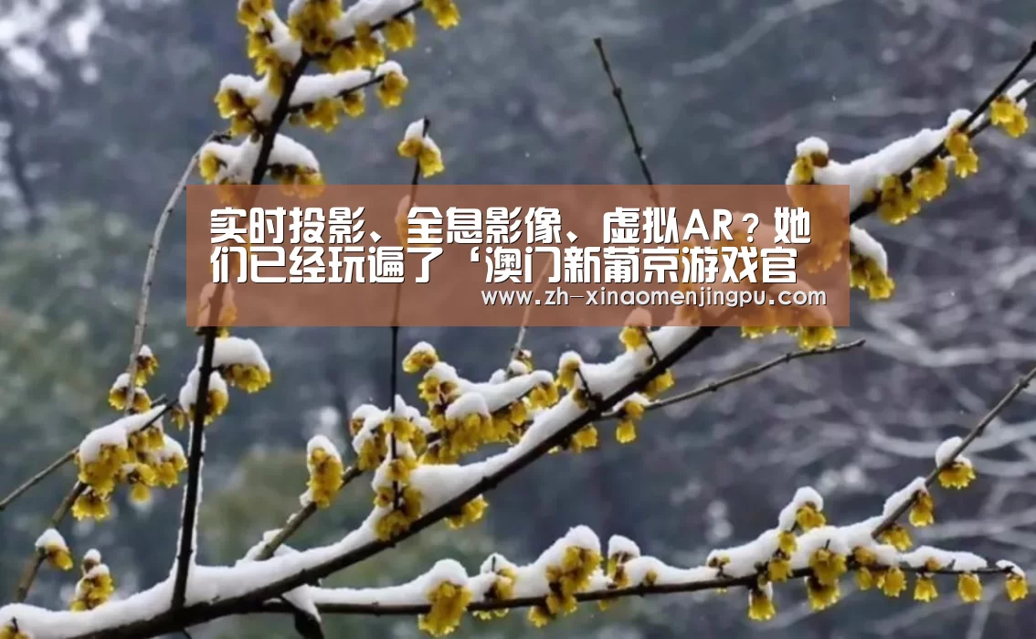 实时投影、全息影像、虚拟AR?她们已经玩遍了‘澳门新葡京游戏官网’(图2) 澳门新葡京游戏官网