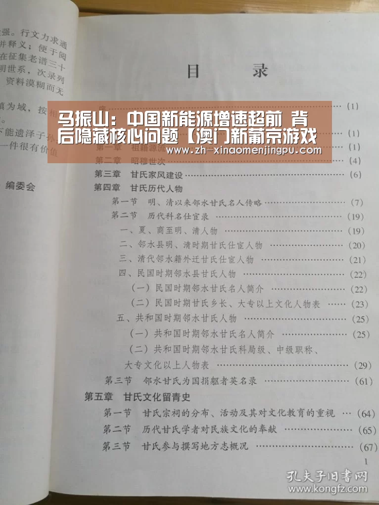 马振山:中国新能源增速超前 背后隐藏核心问题【澳门新葡京游戏官网】(图2) 澳门新葡京游戏官网