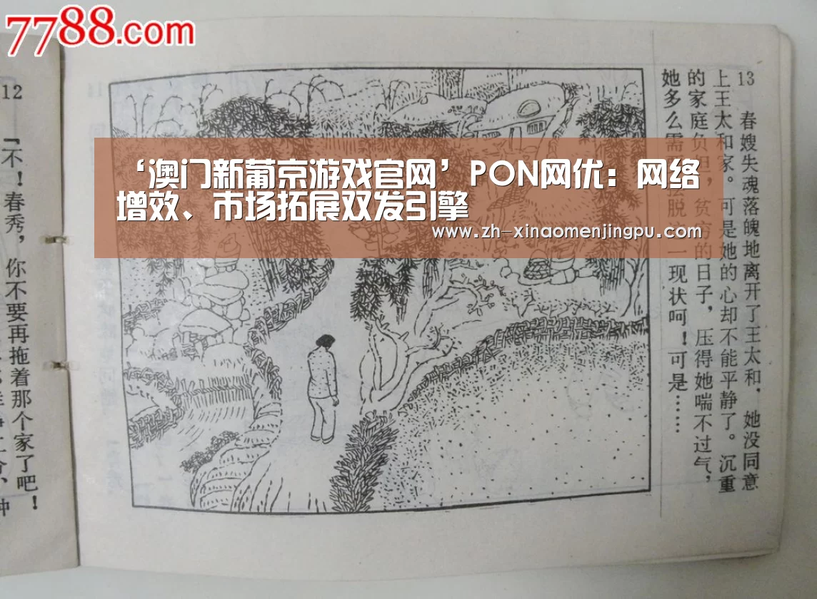 ‘澳门新葡京游戏官网’PON网优:网络增效、市场拓展双发引擎(图1) 澳门新葡京游戏官网