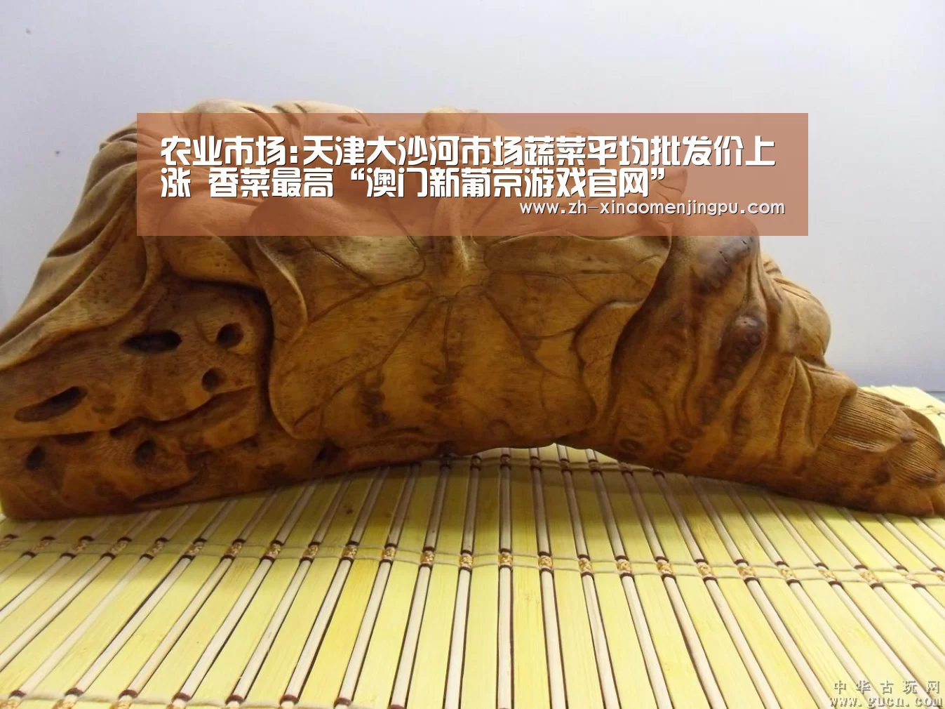 澳门新葡京游戏官网