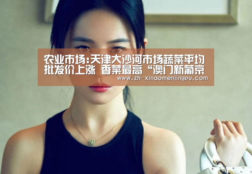 澳门新葡京游戏官网