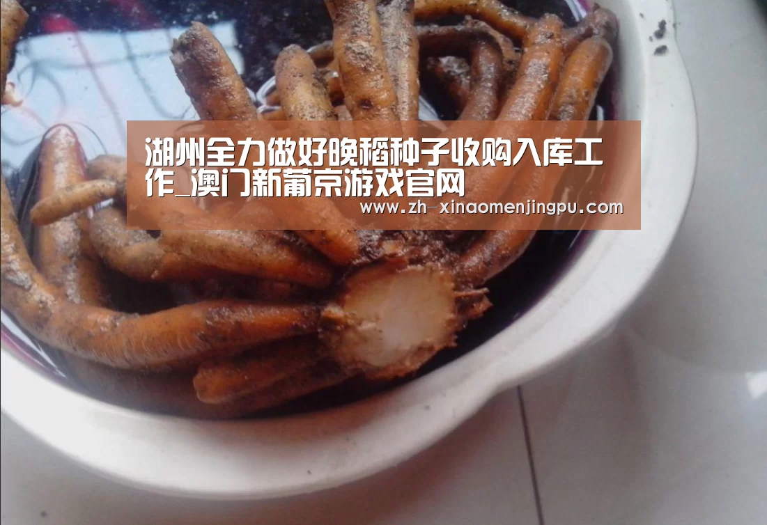 澳门新葡京游戏官网
