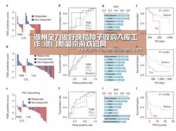 澳门新葡京游戏官网