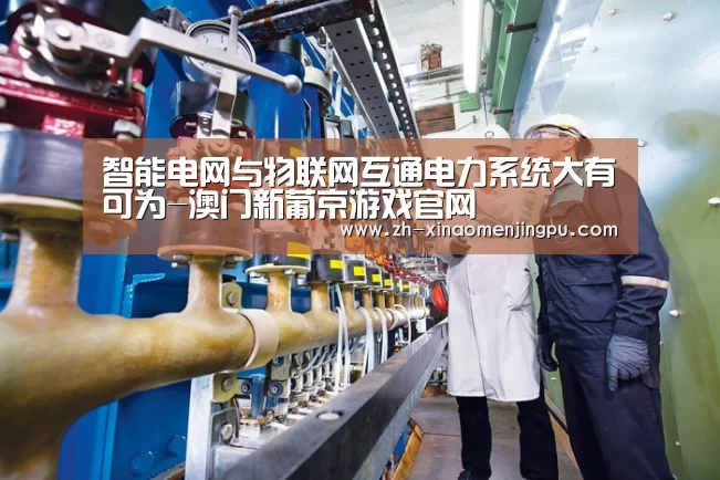 智能电网与物联网互通电力系统大有可为-澳门新葡京游戏官网(图1) 澳门新葡京游戏官网