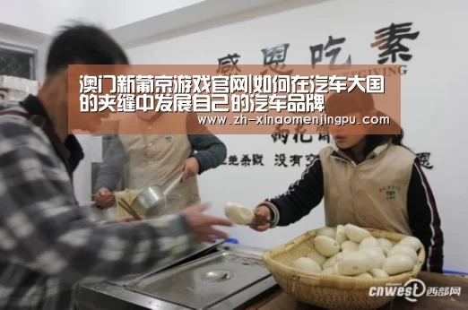 澳门新葡京游戏官网|如何在汽车大国的夹缝中发展自己的汽车品牌(图3) 澳门新葡京游戏官网