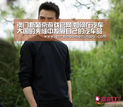 澳门新葡京游戏官网|如何在汽车大国的夹缝中发展自己的汽车品牌(图2) 澳门新葡京游戏官网