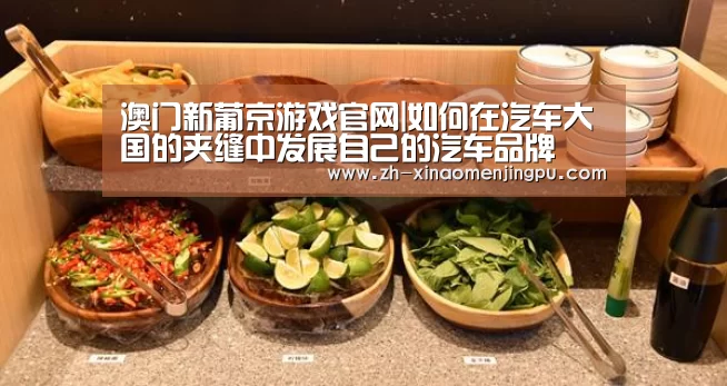 澳门新葡京游戏官网|如何在汽车大国的夹缝中发展自己的汽车品牌(图1) 澳门新葡京游戏官网