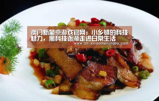 澳门新葡京游戏官网:小乡镇的科技魅力,黑科技逐渐走进日常生活(图3) 澳门新葡京游戏官网